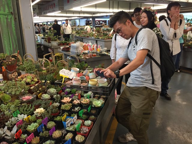 2017雲彩之旅